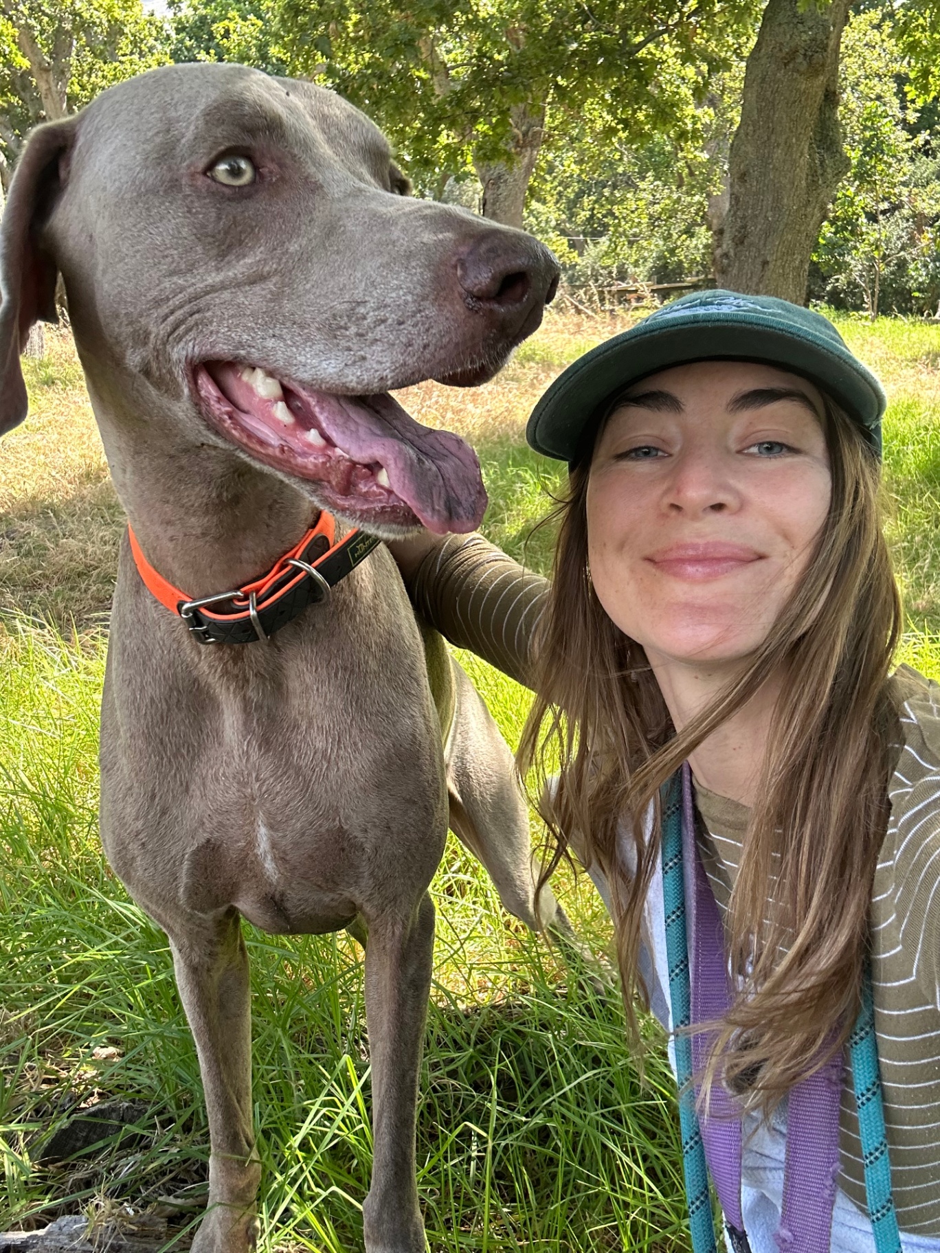 Tessa with a happy Weimaraner dog