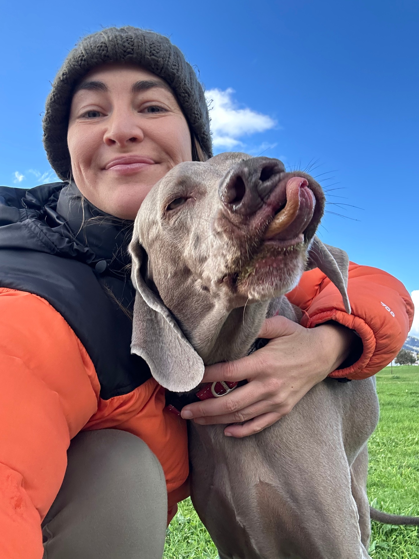 Weimaraner licking their nose while getting a hug outdoors