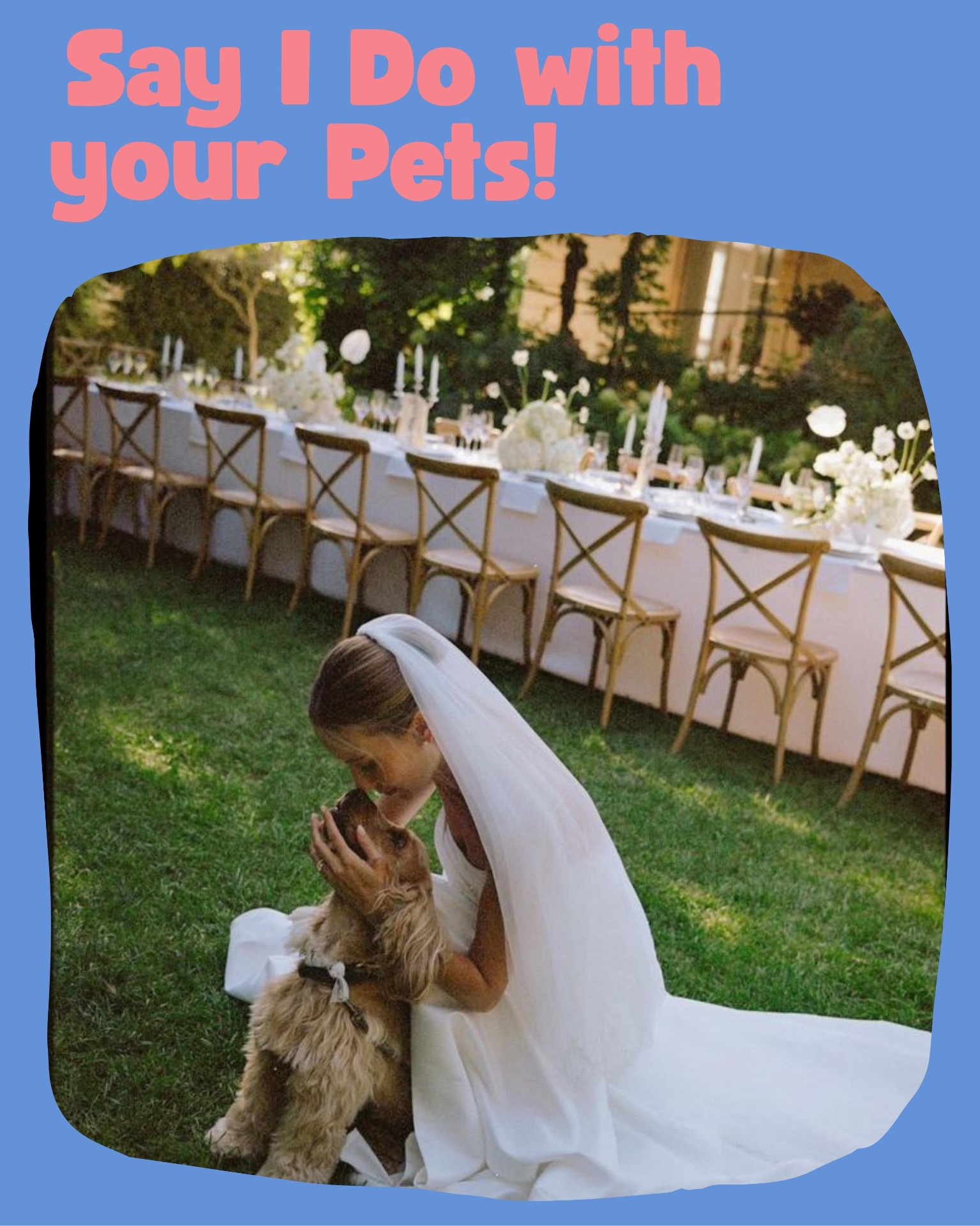 Bride kissing her dog at an outdoor wedding reception