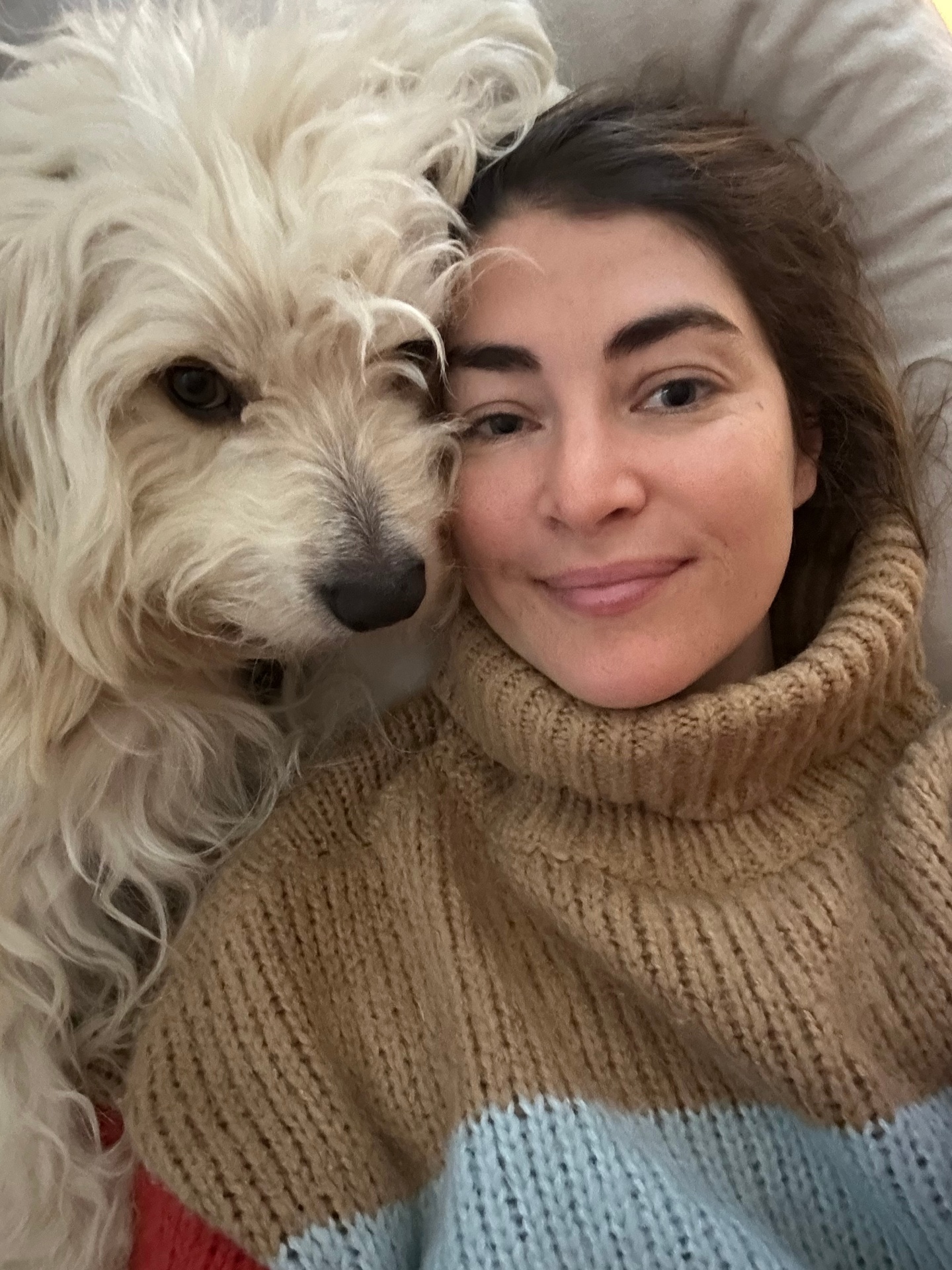 White curly-coated poodle-mix cuddled up with their human