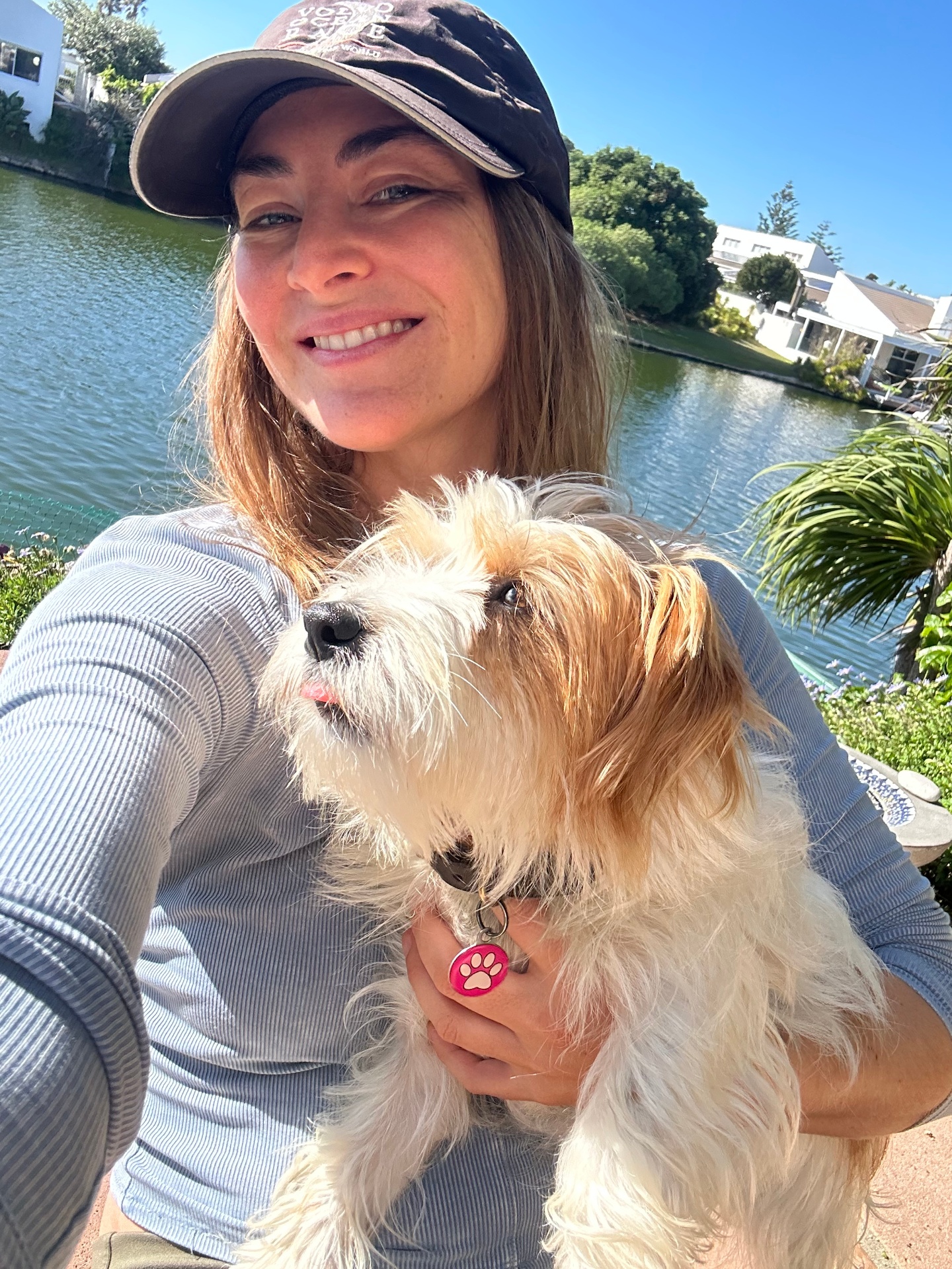 Scruffy cream terrier being held next to a Cape Town waterway